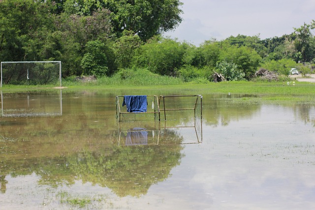 BBC：前曼城球员巴顿因社媒攻击性言论被判6个月监禁
